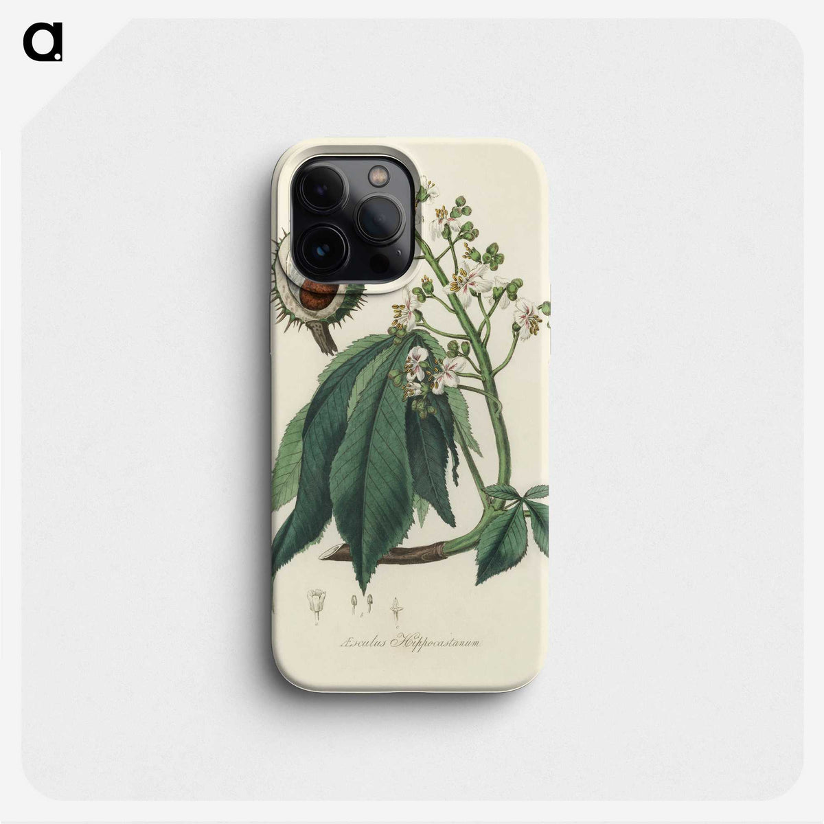 1-62_Medical-Botany_phone