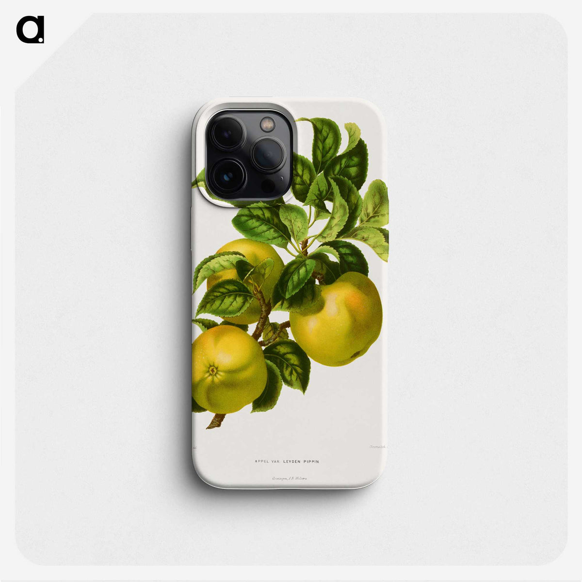 1-62_Nederlandsche-Flora-en-Pomona_phone