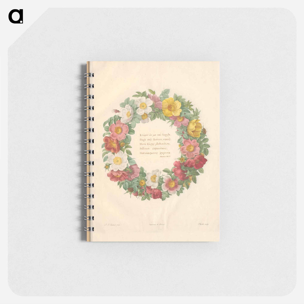 Rose illustration - ピエール ジョゼフ ルドゥーテ Memo.