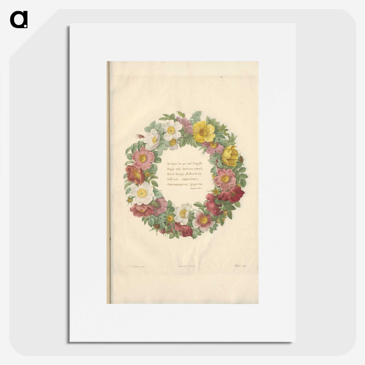 1-62_Pierre-Joseph-Redoute_picture