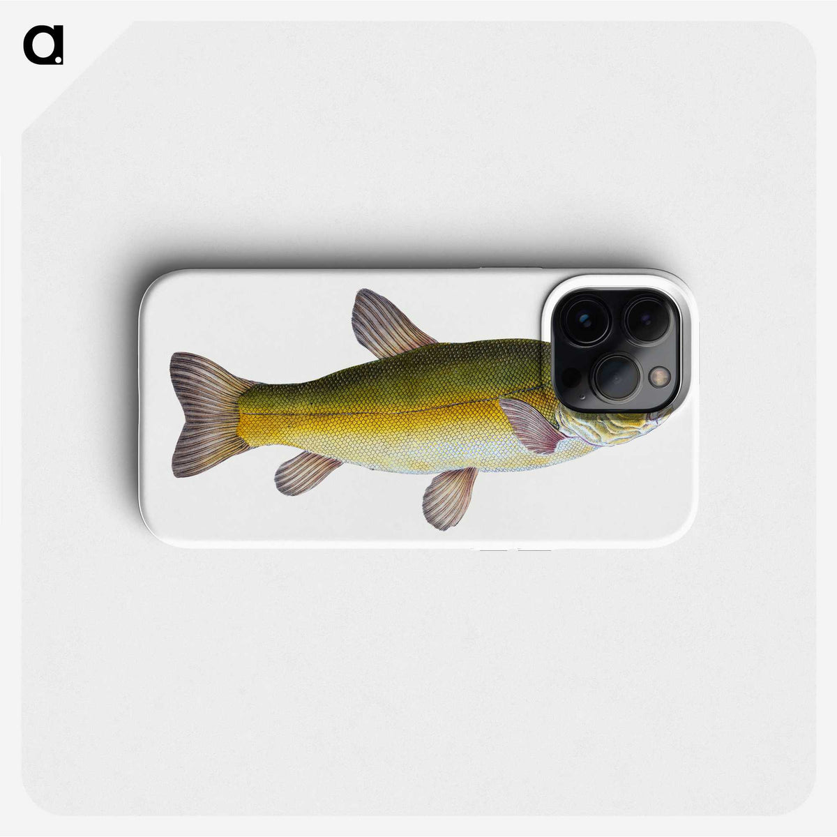 1-62_The-Natural-History-of-British-Fishes_phone