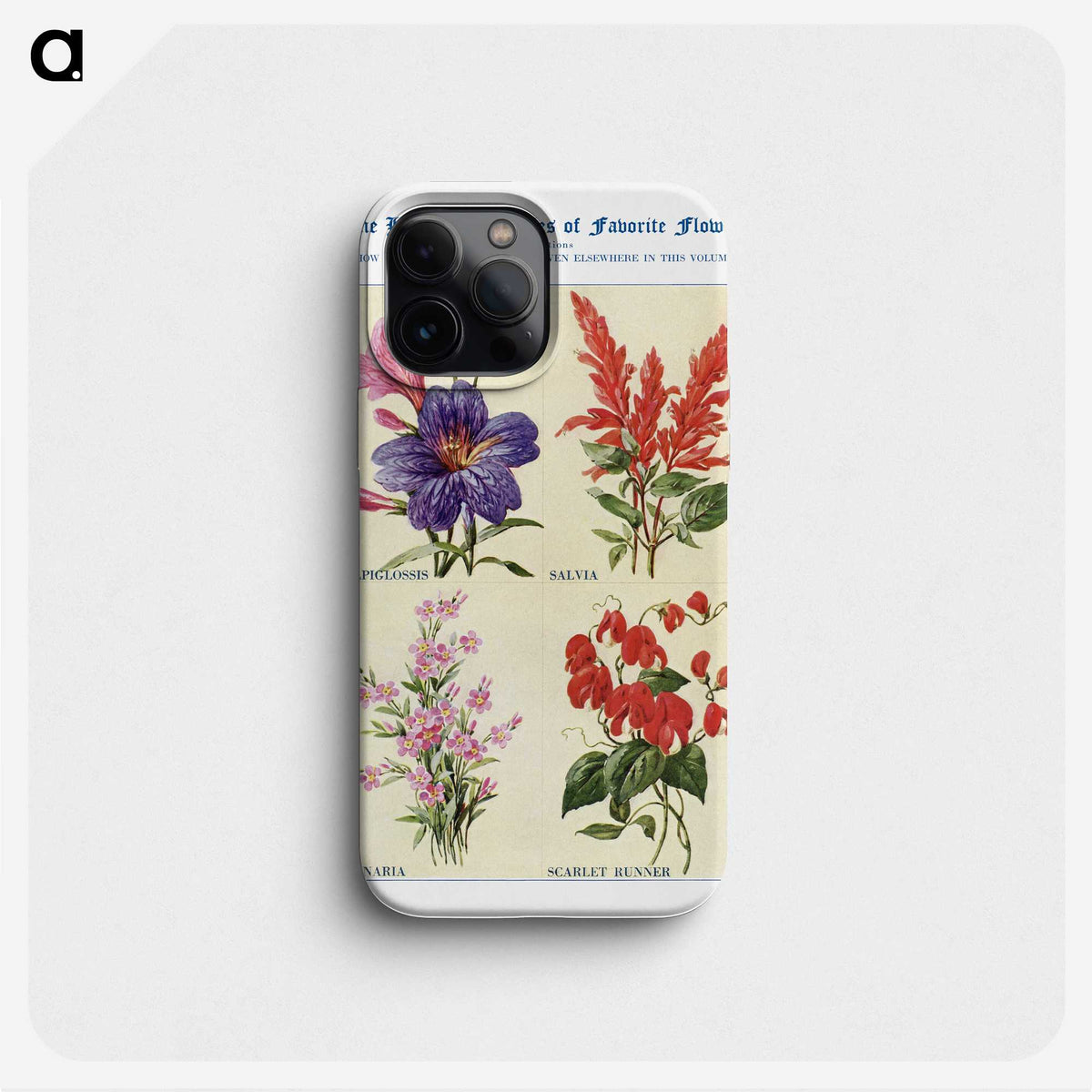 1-62_The-Open-Door-to-Independence_phone