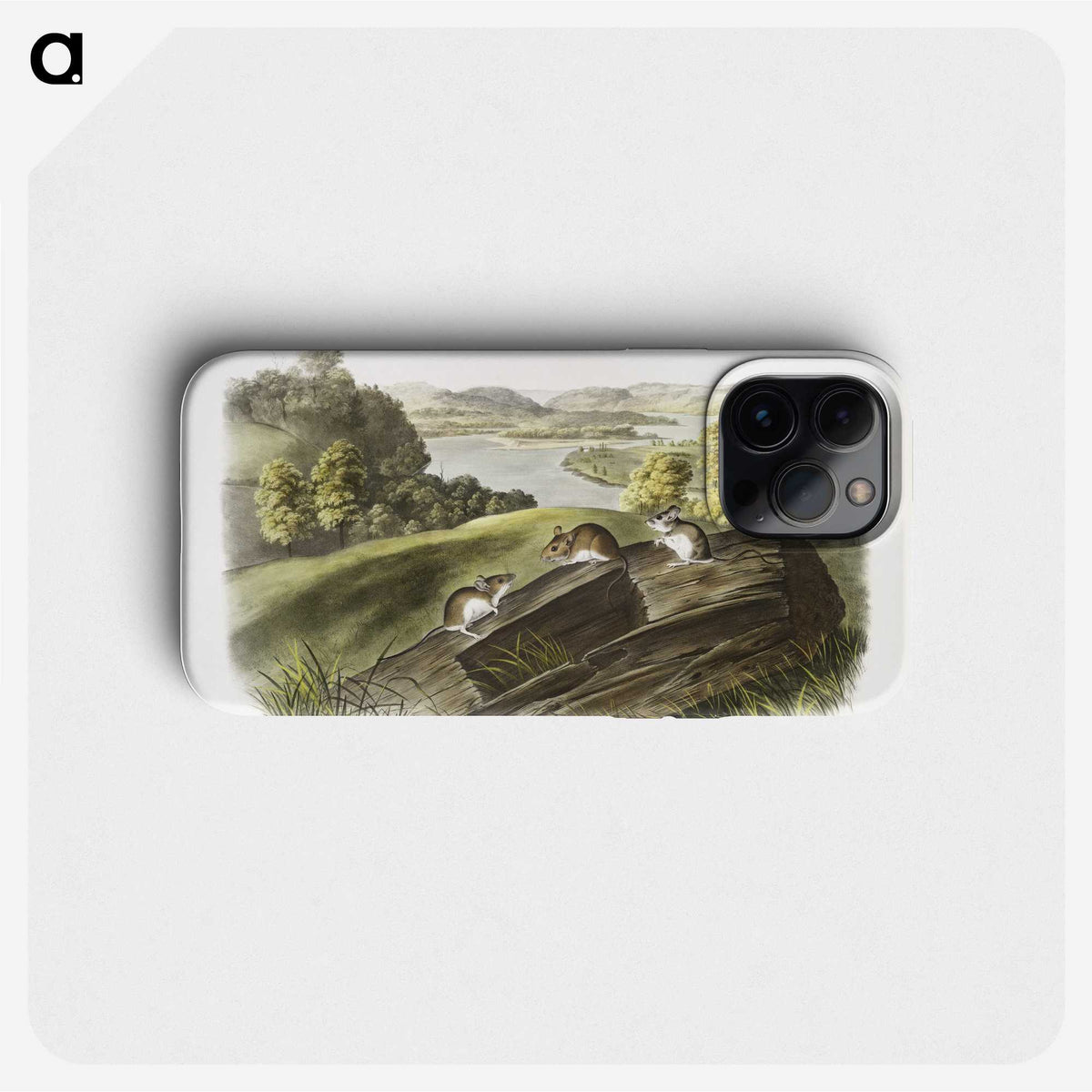 1-62_The-Viviparous-Quadrupeds_phone