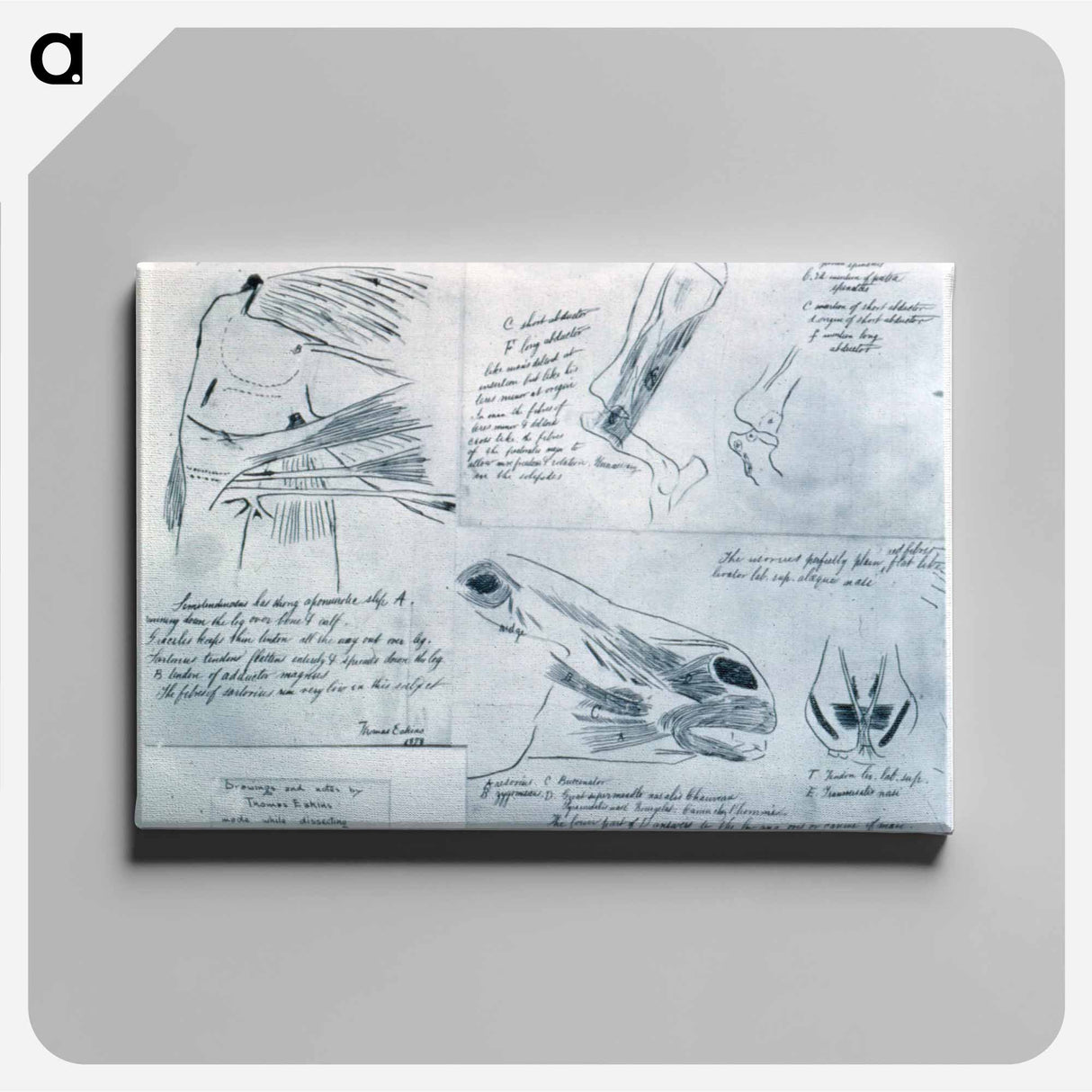 アートパネル-Anatomical studies - トーマス エイキンズ Canvas.