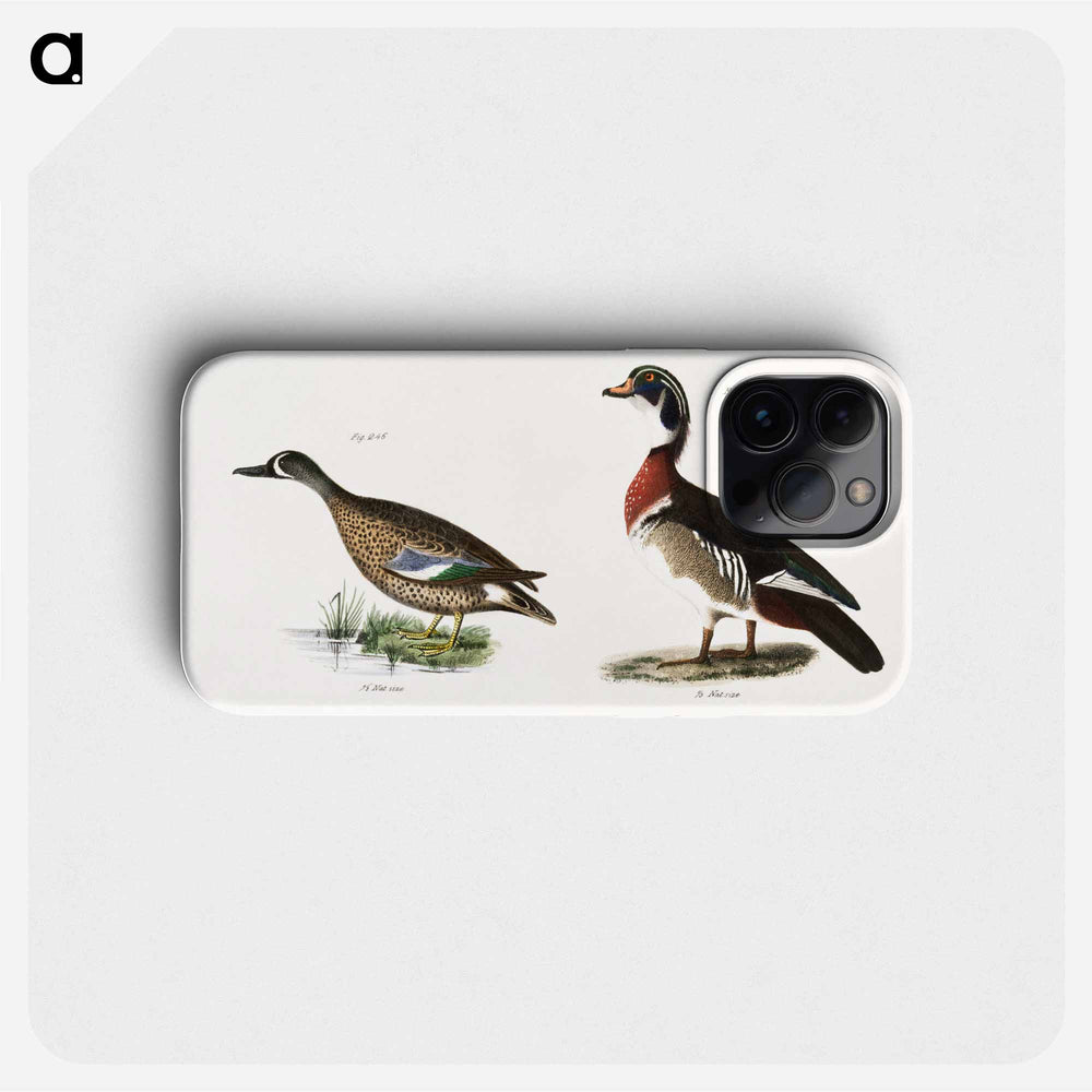 Blue-winged Teal (Anas discors) 247. Wood Duck (Anas sponsa) illustration from Zoology of New York by James Ellsworth De Kay. - Zoology of New York Phone Case.