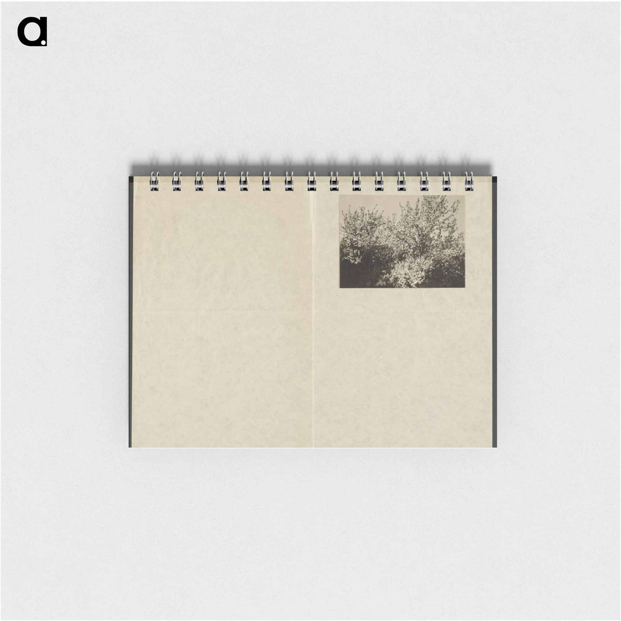 アートメモ帳-Apple Blossoms - アルフレッド スティーグリッツ Memo.