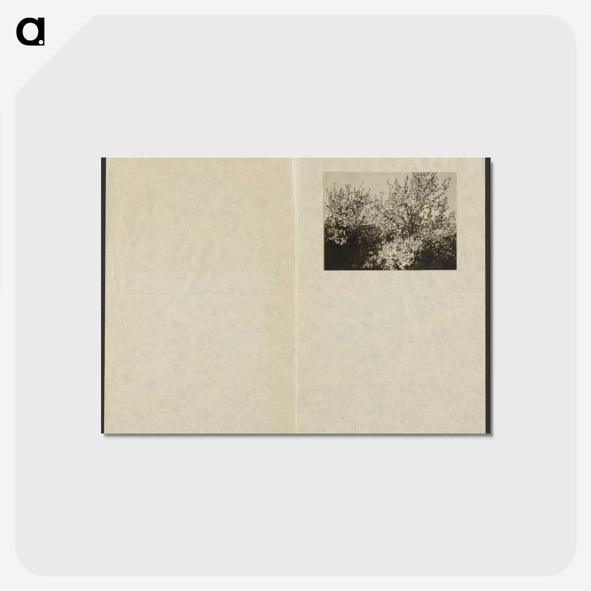 1-63_Alfred-Stieglitz_postcard