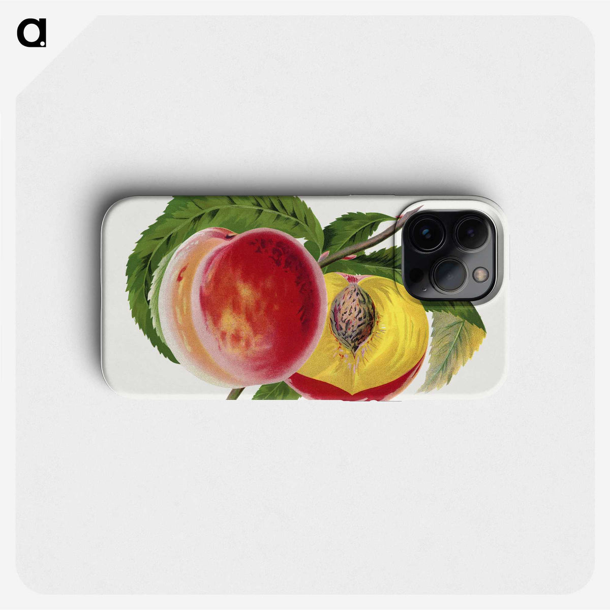 1-63_Botanical-Specimen-Plates_phone