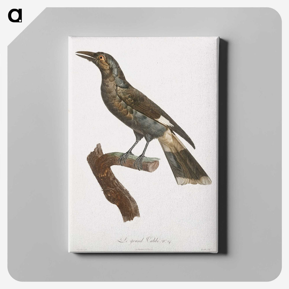 1-63_Des-Oiseaux-de-Paradis_canvas
