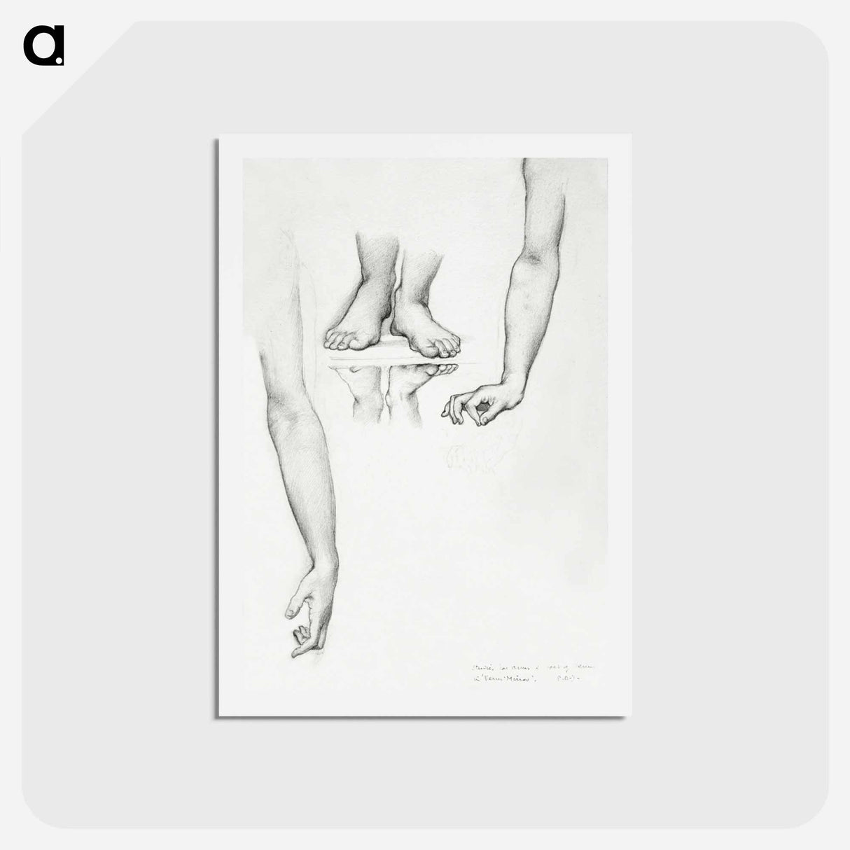 アートポストカード-Study for Mirror of Venus: Arms and Feet of Venus - エドワード バーン ジョーンズ Postcard.