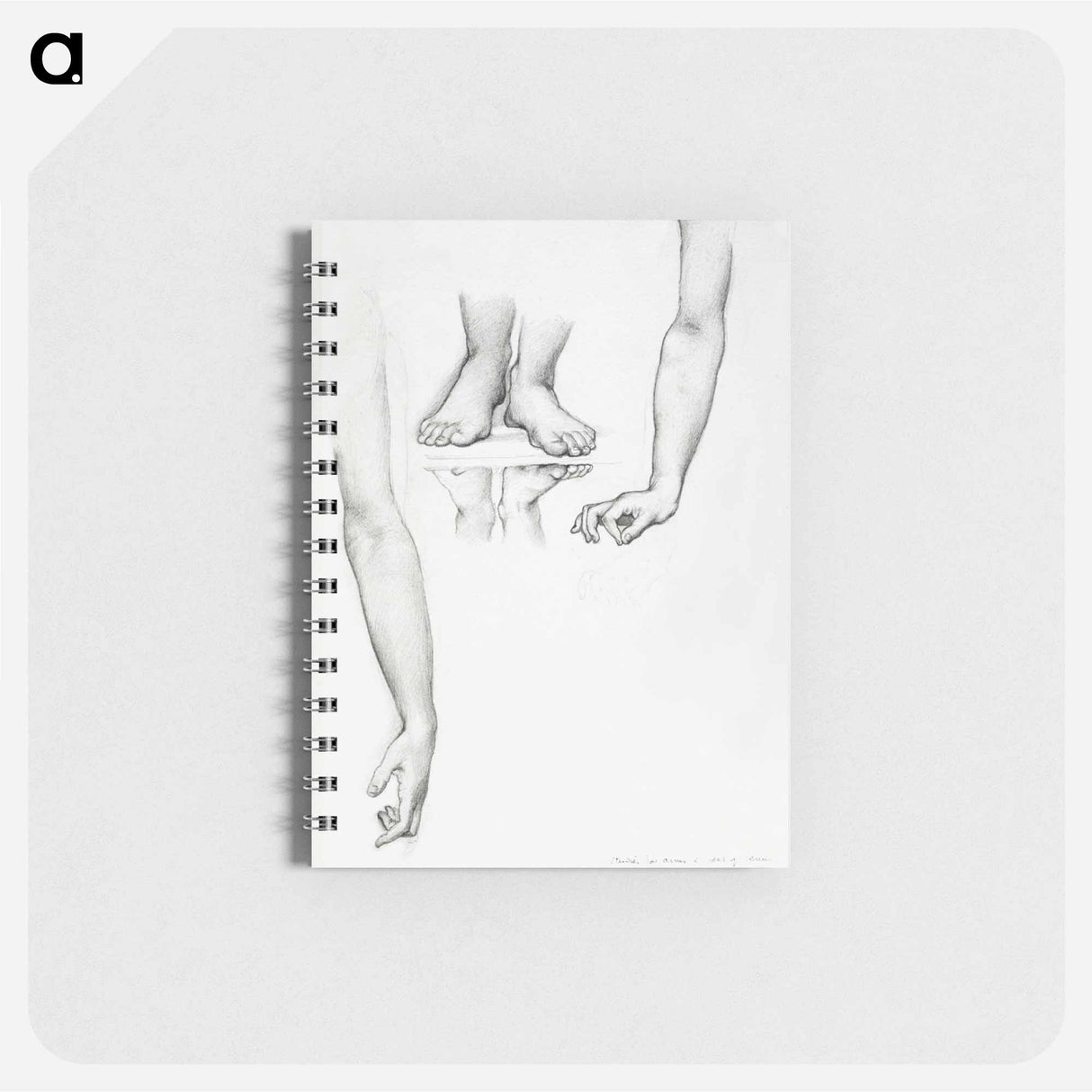 アートメモ帳-Study for Mirror of Venus: Arms and Feet of Venus - エドワード バーン ジョーンズ Memo.