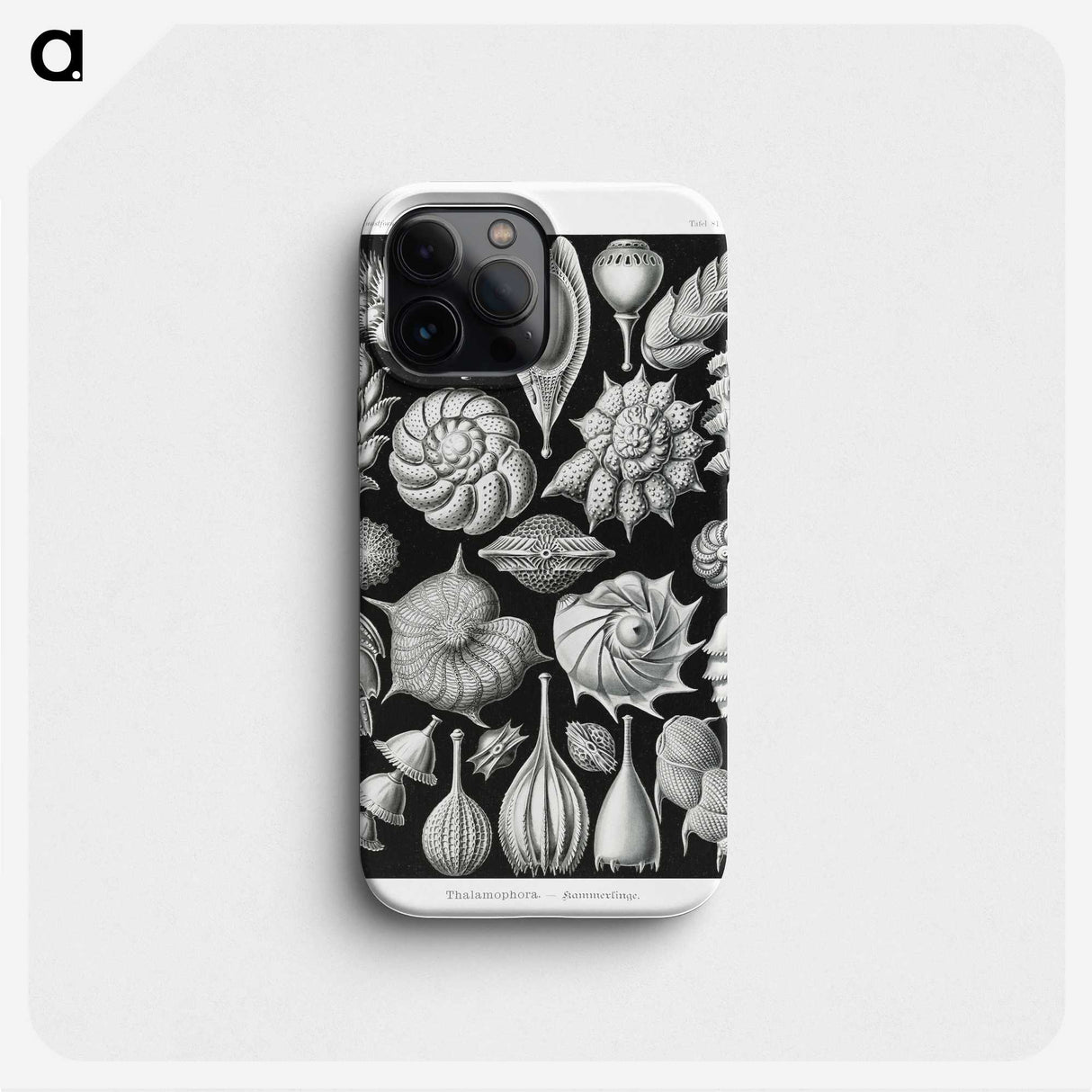 1-63_Ernst-Haeckel_phone
