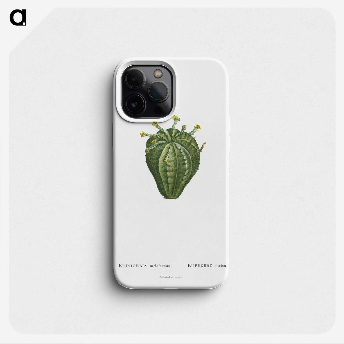 1-63_Histoire-des-Plantes-Grasses_phone