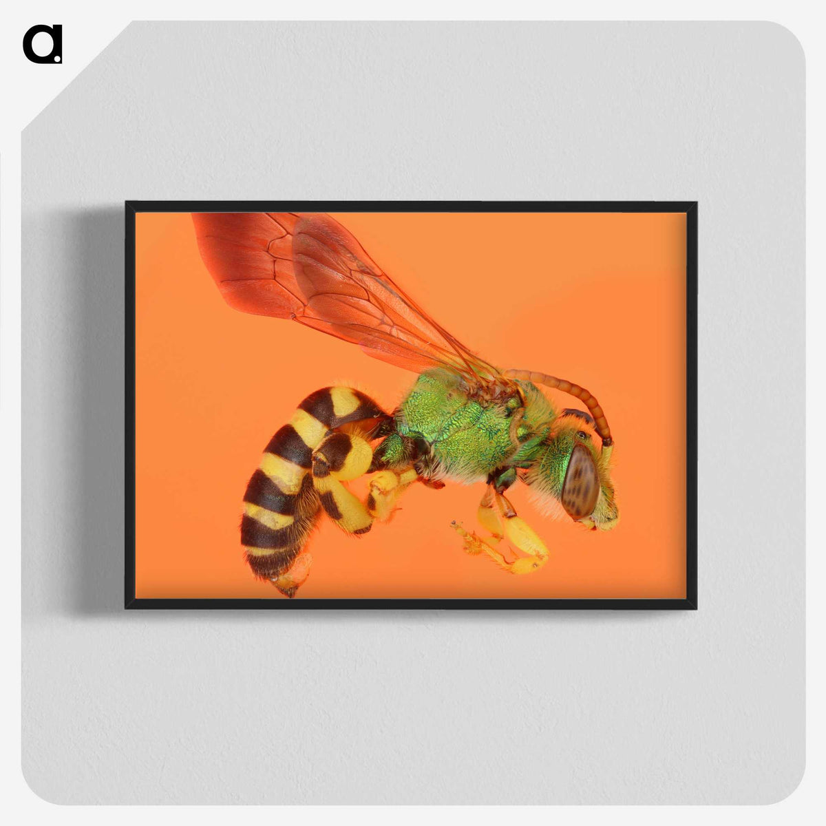 1-63_Insects-Unlocked-Project_blk-crop
