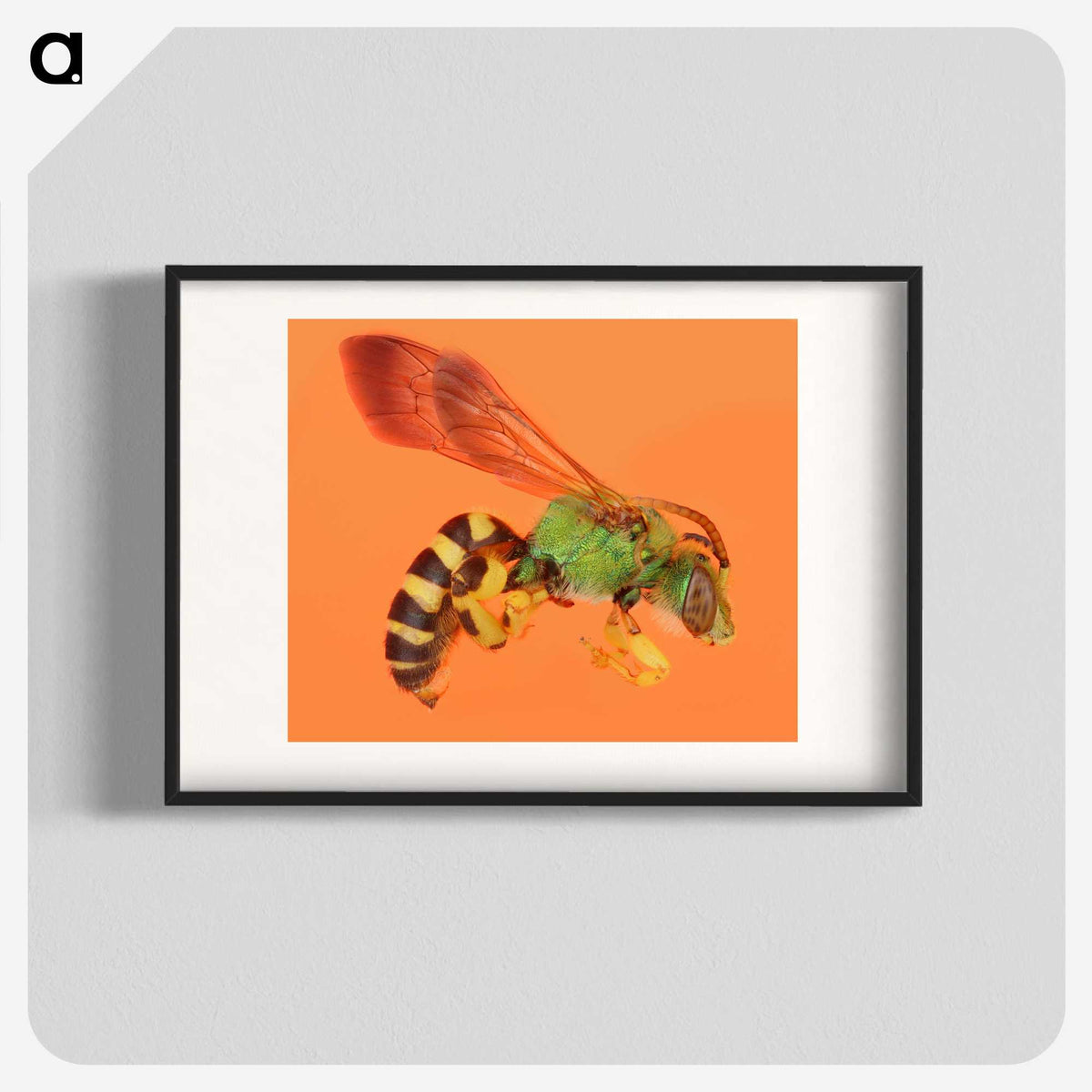 1-63_Insects-Unlocked-Project_blk
