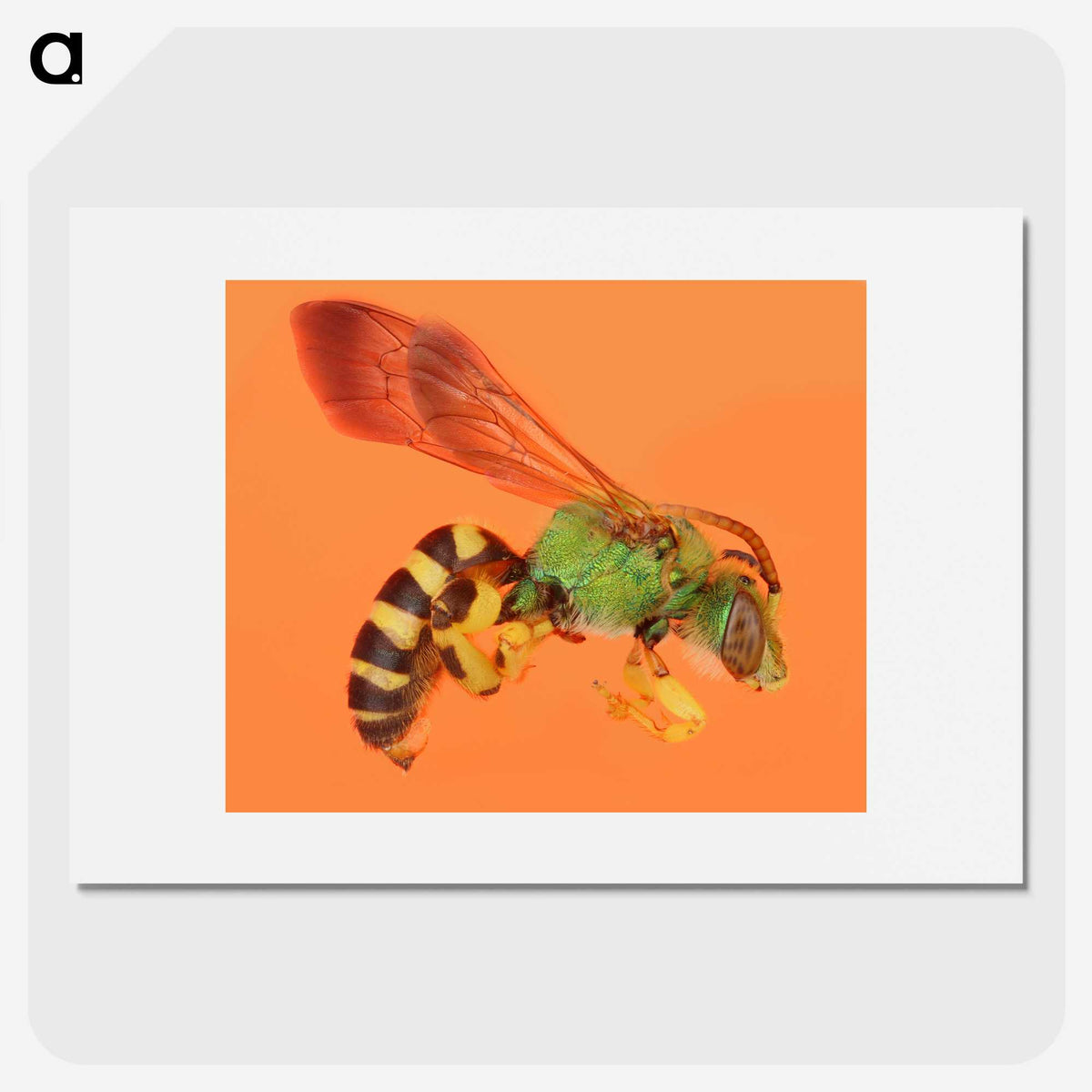 1-63_Insects-Unlocked-Project_picture