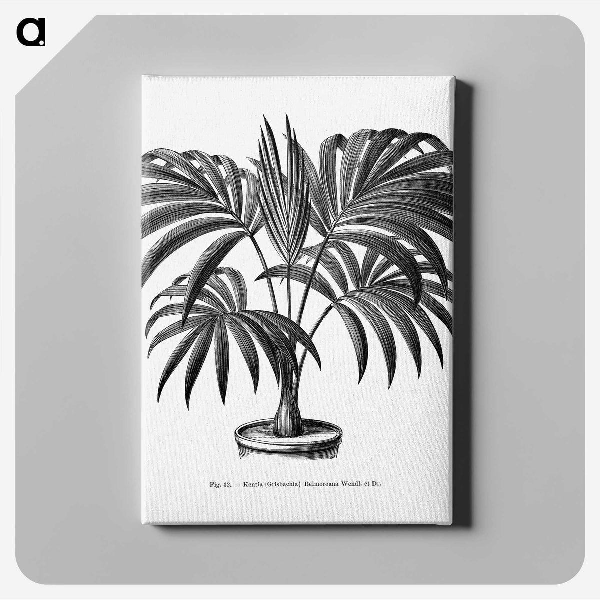 1-63_Les-Palmiers-Histoire-Iconographique_canvas