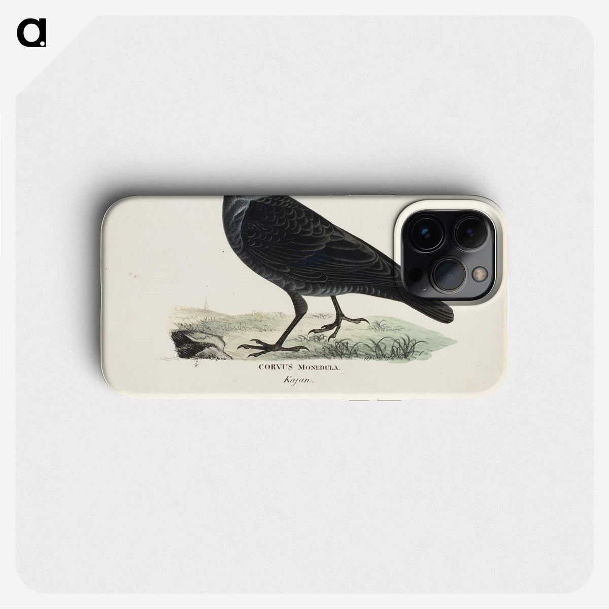 1-63_Magnus-von-Wright_phone