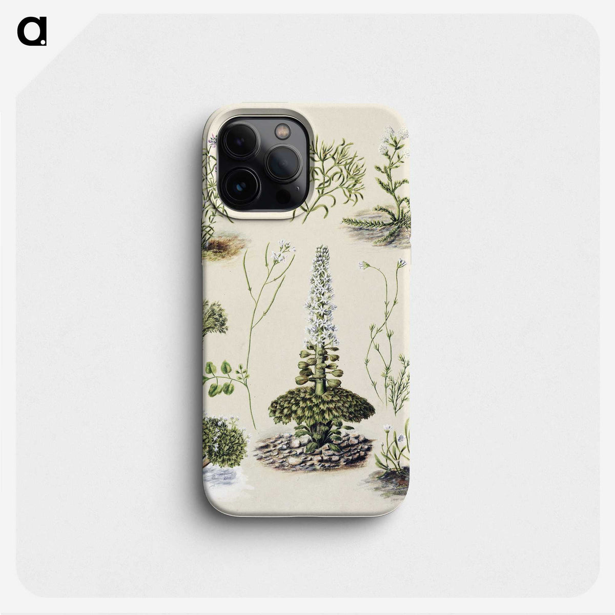 1-63_Native-Flowering-Plants-of-New-Zealand_phone