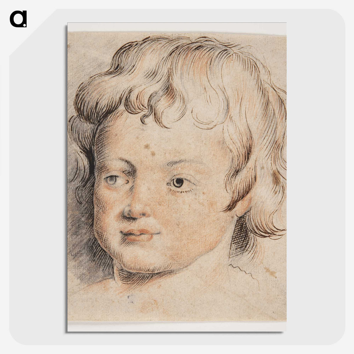 1-63_Peter-Paul-Rubens_picture-crop