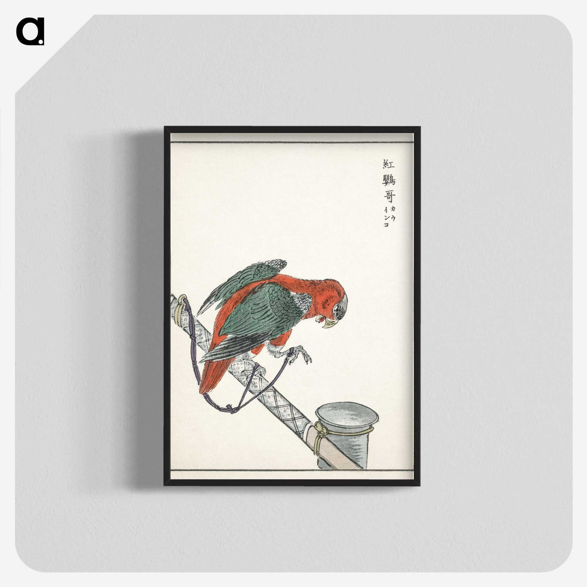 1-63_Pictorial-Monograph-of-Birds_blk-crop