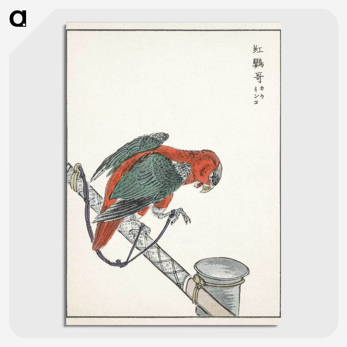 1-63_Pictorial-Monograph-of-Birds_picture-crop