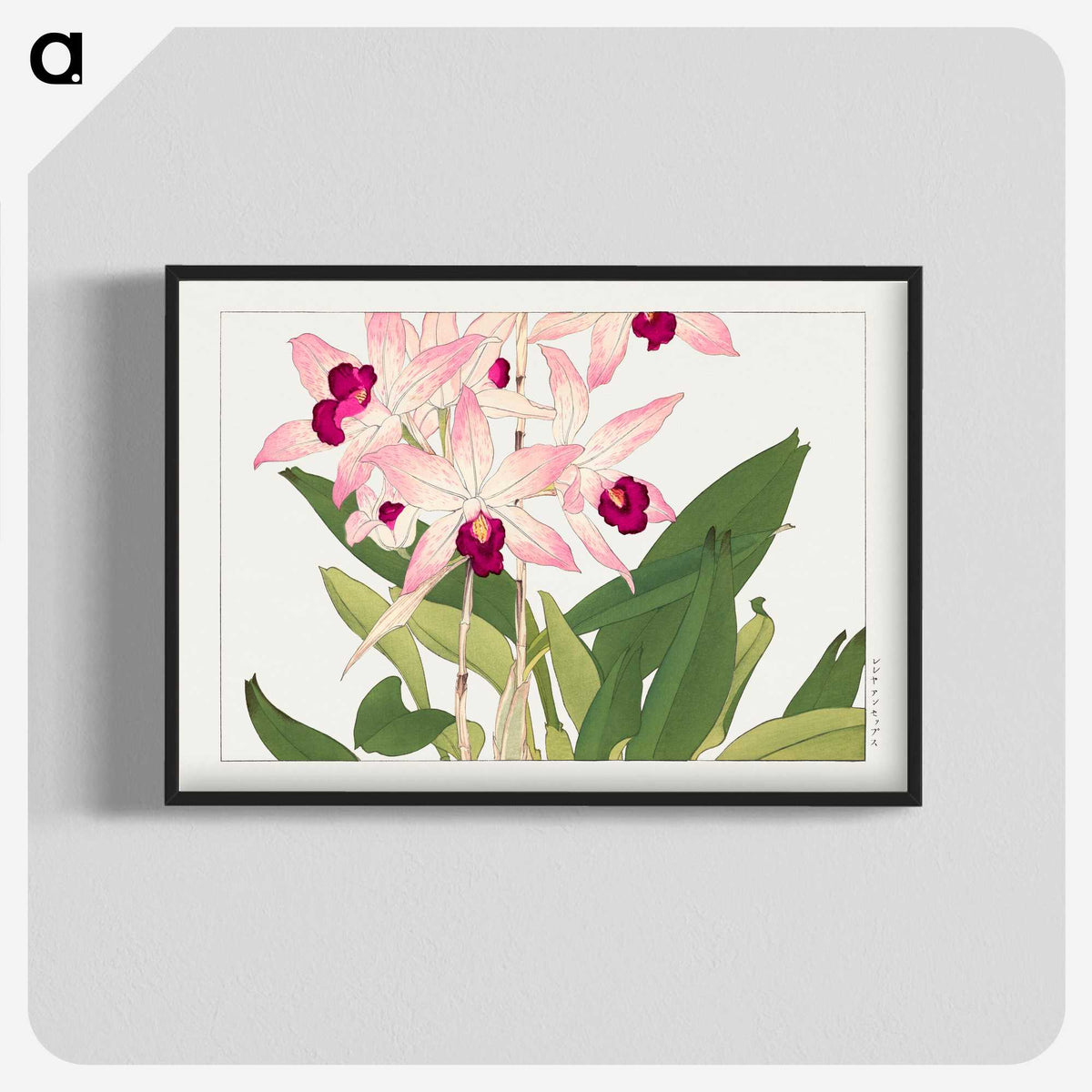 1-63_Seiyo-Soka-Zufu_blk-crop