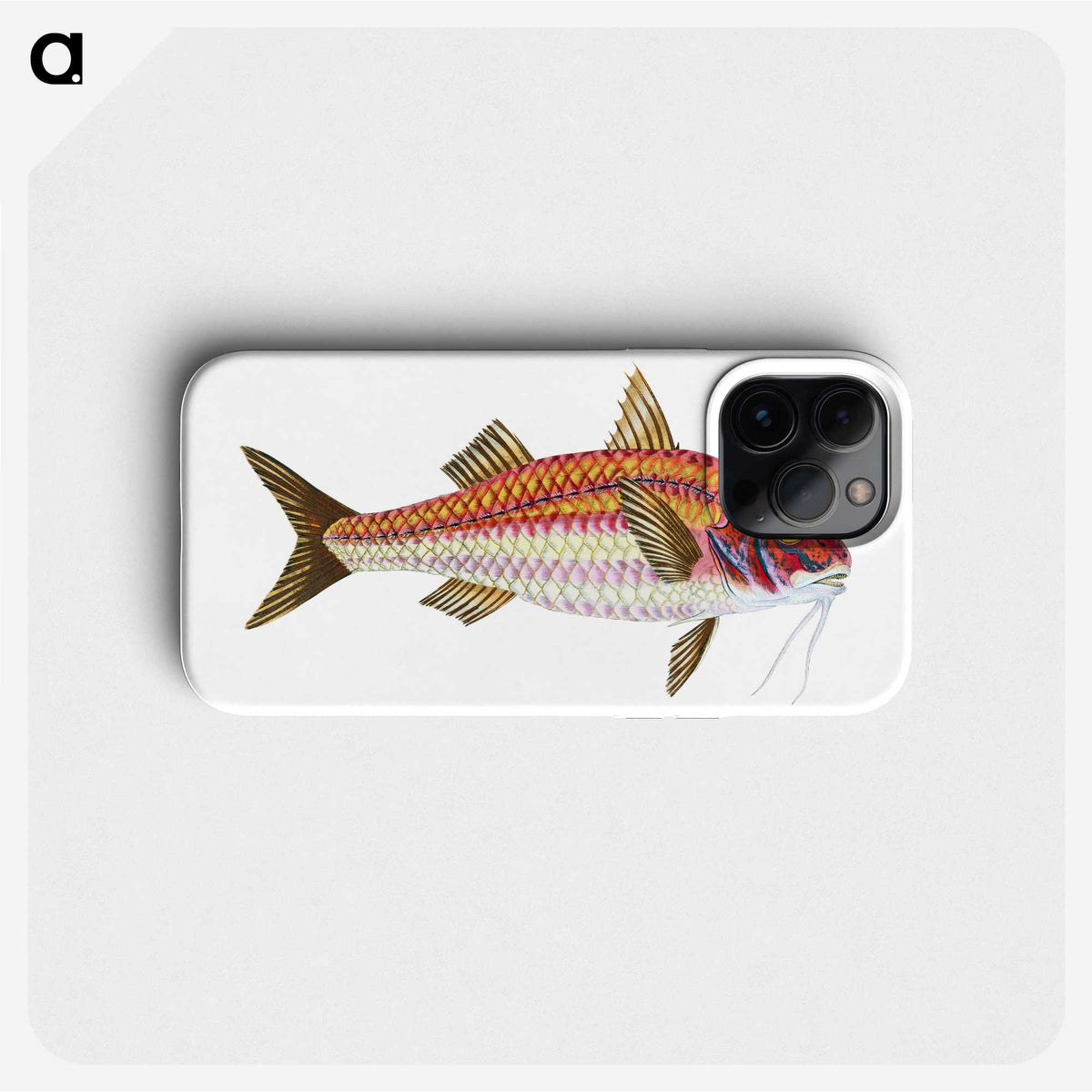 1-63_The-Natural-History-of-British-Fishes_phone