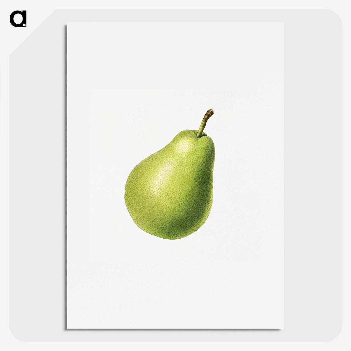 1-63_USDA-Watercolor-Fruit-Painting-Collection_picture
