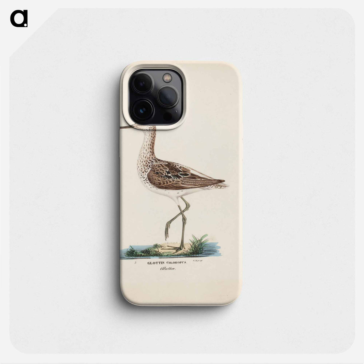 Common greenshank - Wilhelm von Wright Phone Case.
