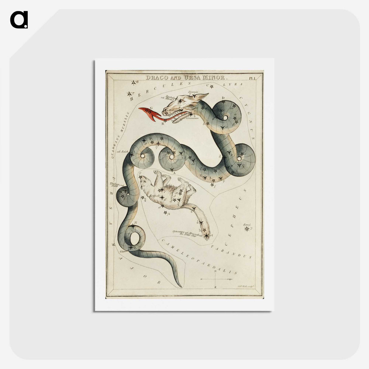 1-64_Antique-Maps_hagaki