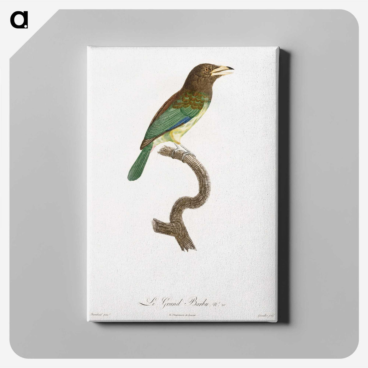 1-64_Des-Oiseaux-de-Paradis_canvas