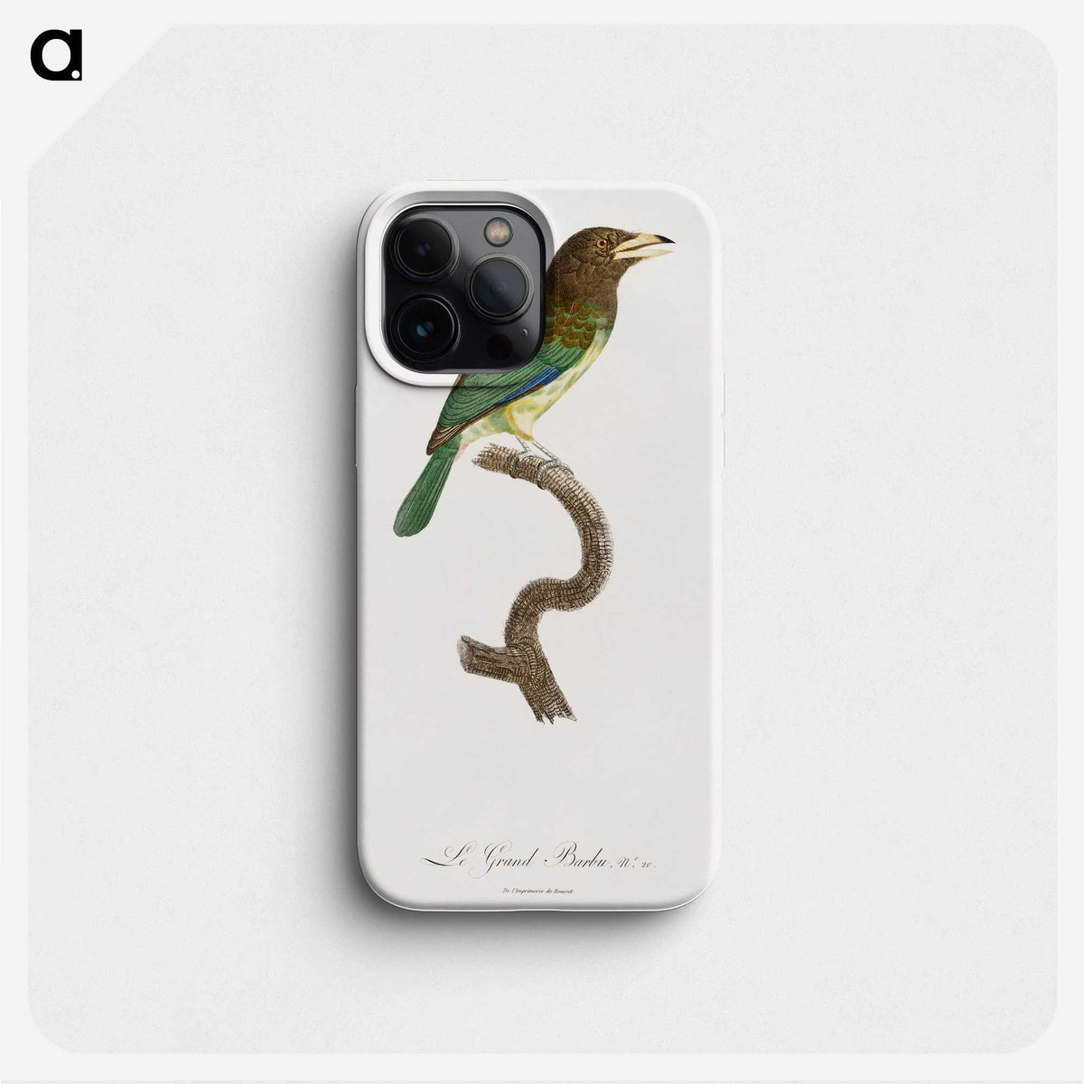 1-64_Des-Oiseaux-de-Paradis_phone