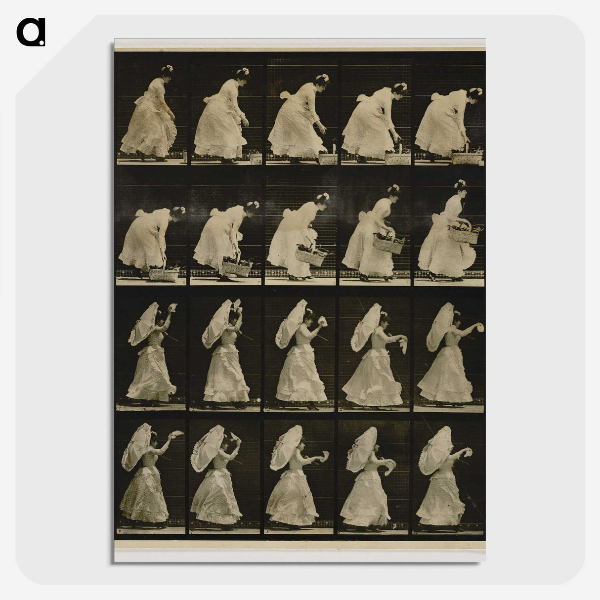1-64_Eadweard-Muybridge_picture-crop