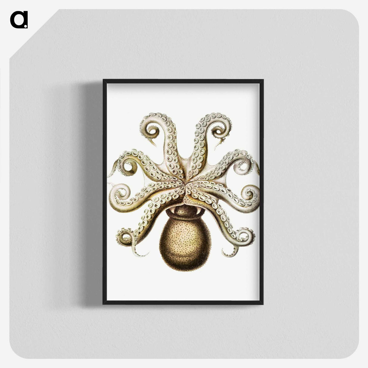 1-64_Ernst-Haeckel_blk-crop