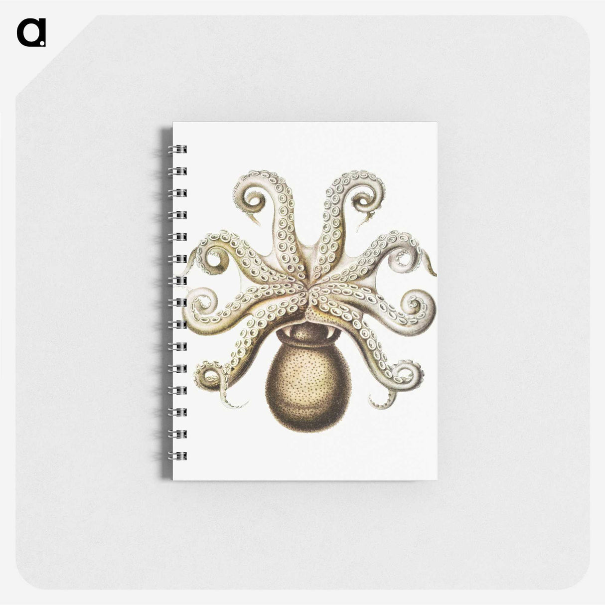 1-64_Ernst-Haeckel_memo