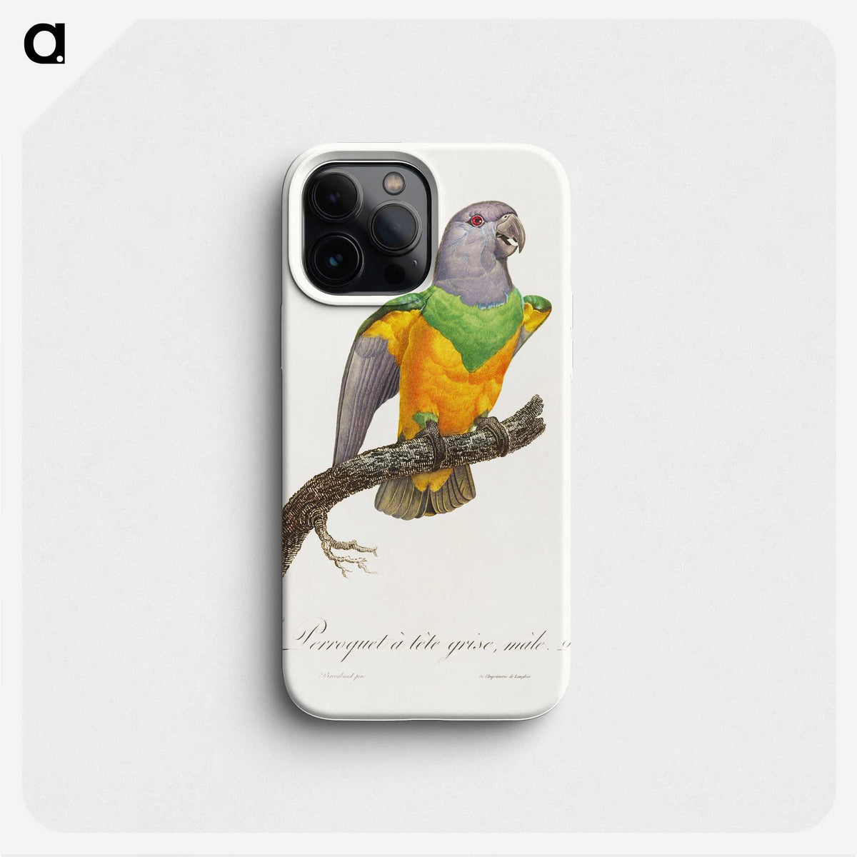 1-64_Francois-Levaillant_phone
