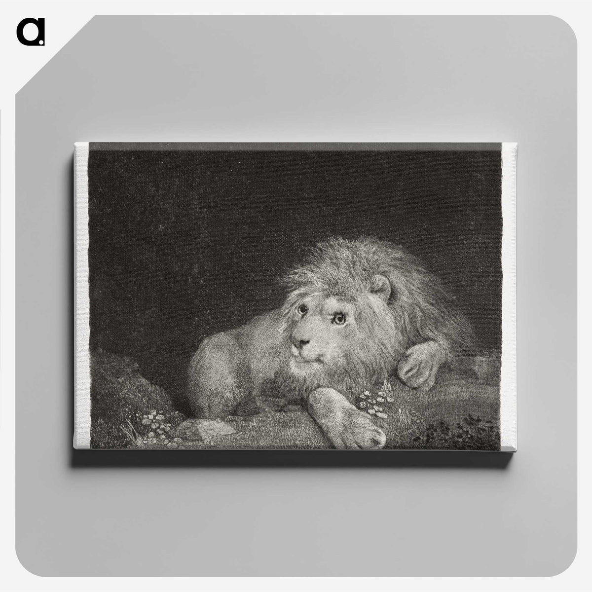 1-64_George-Stubbs_canvas