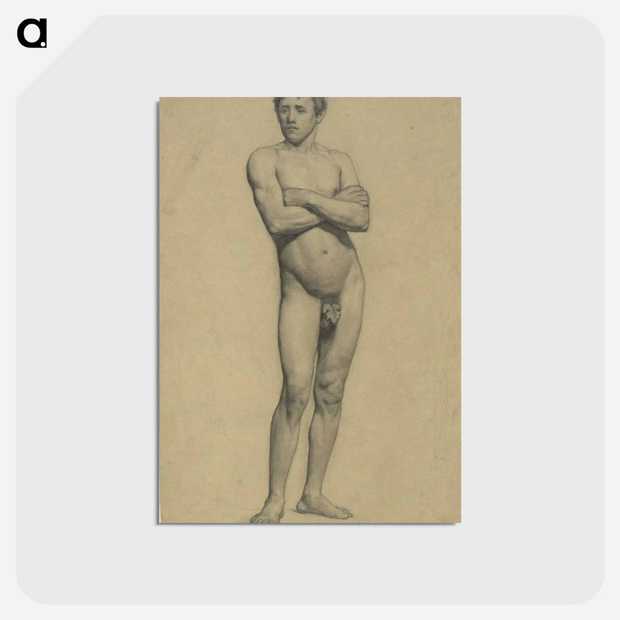 アートポストカード-Male academy nude with folded arms - グスタフ クリムト Postcard.
