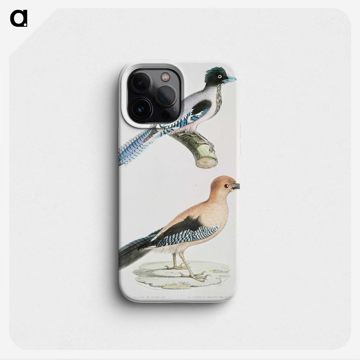 1-64_Indian-Zoology_phone