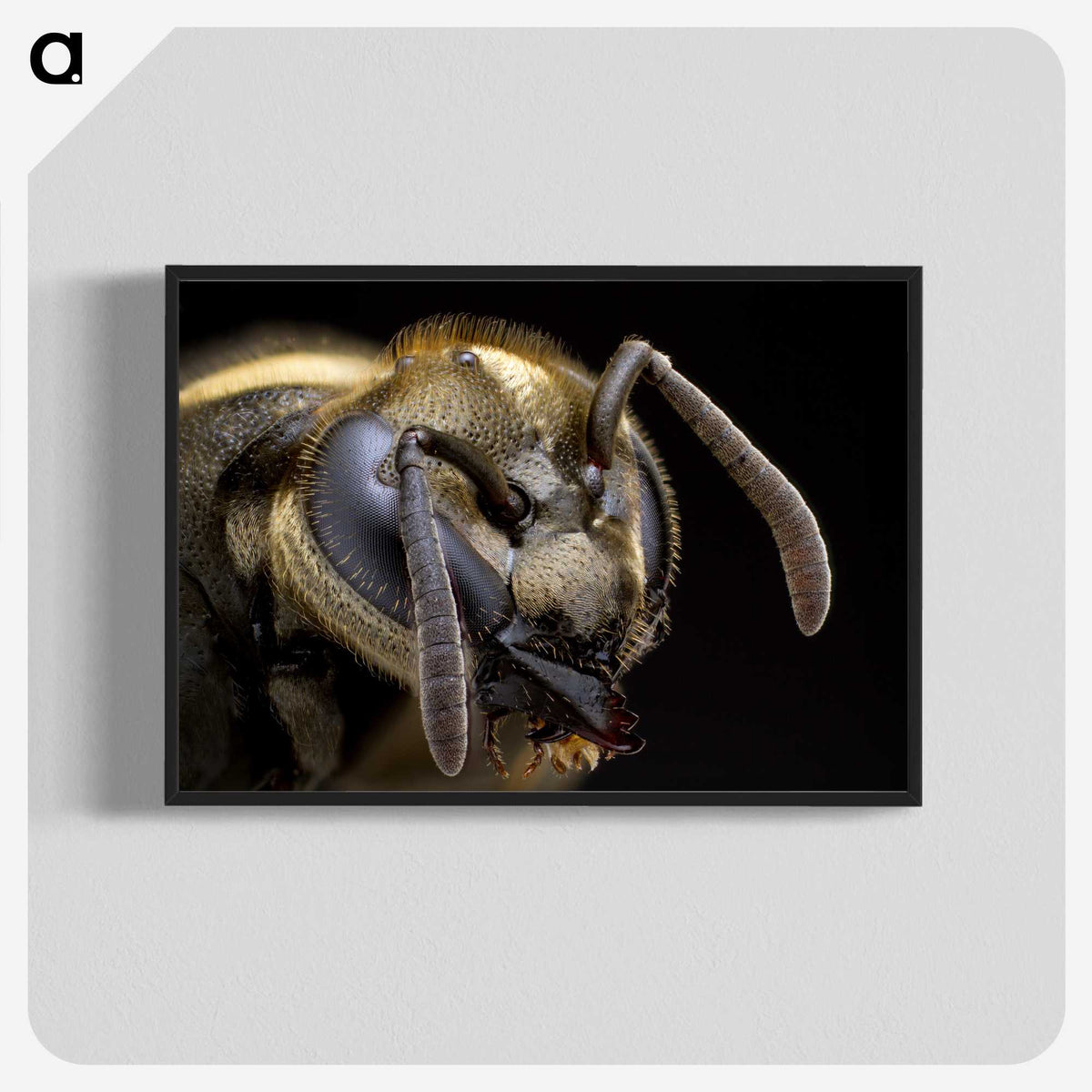 1-64_Insects-Unlocked-Project_blk-crop