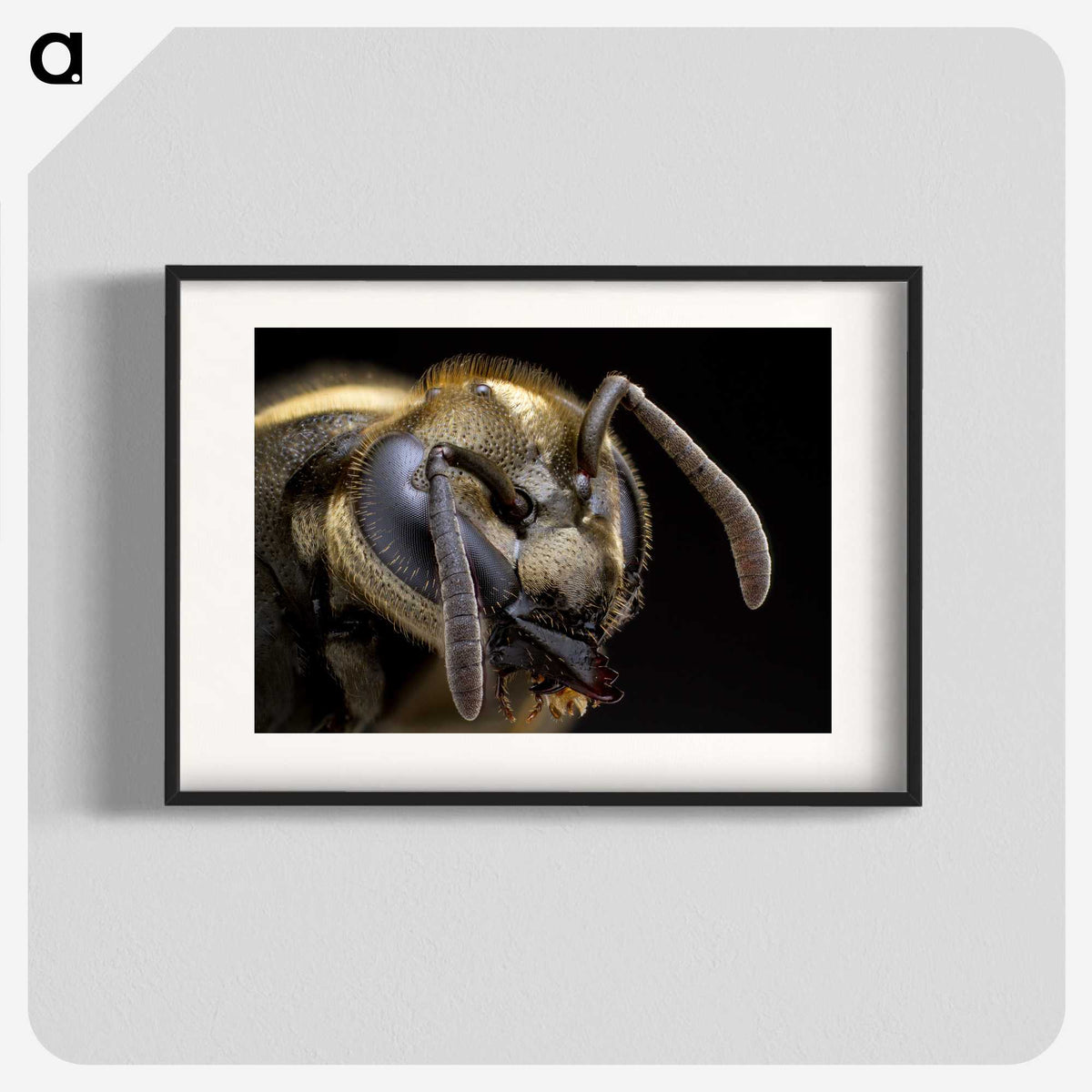 1-64_Insects-Unlocked-Project_blk