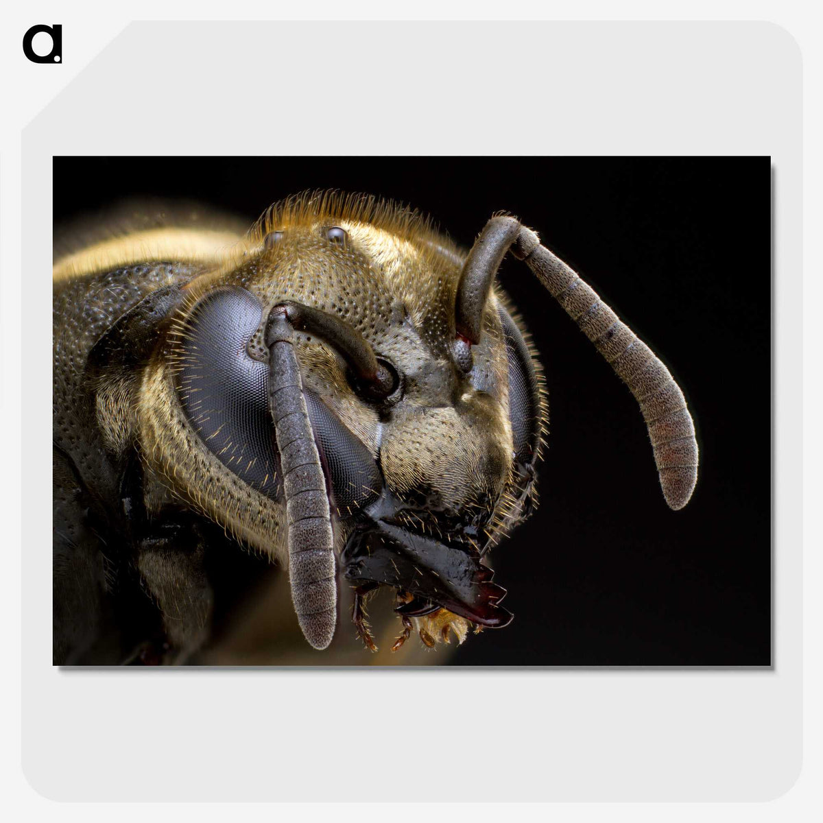 1-64_Insects-Unlocked-Project_picture-crop
