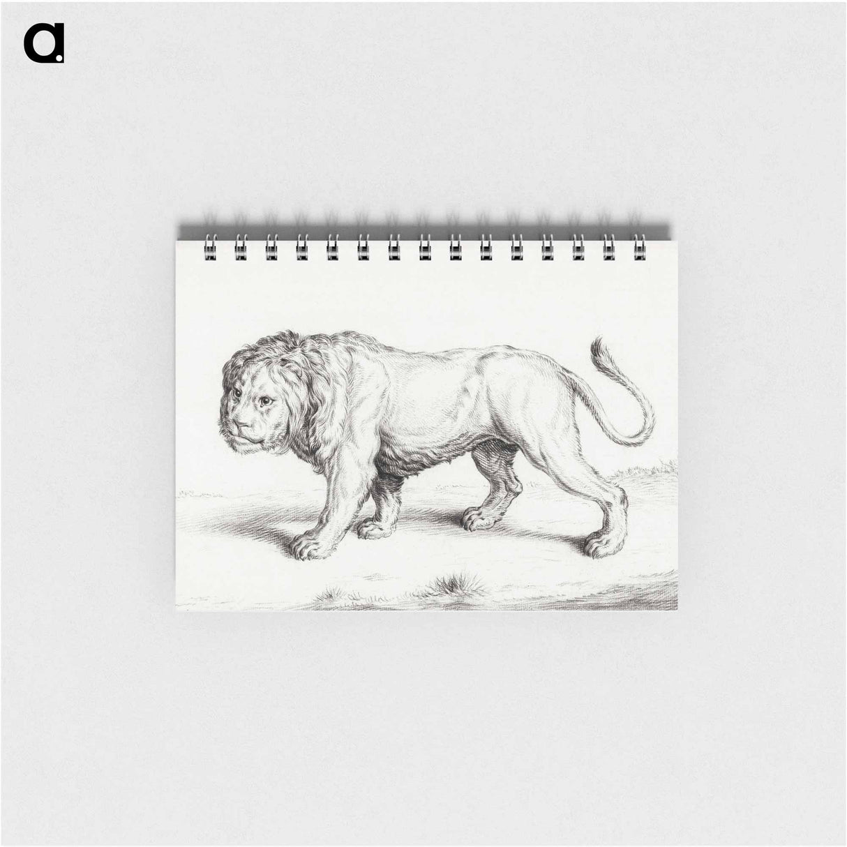 Lion - ジャン ベルナール Memo.