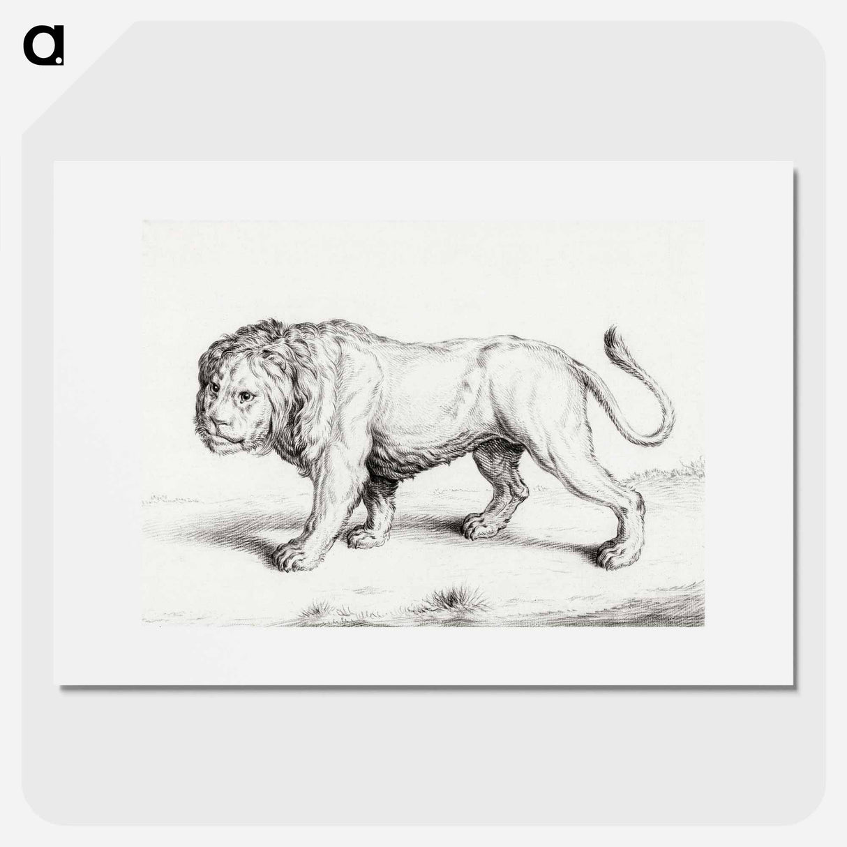 Lion - ジャン ベルナール Poster.