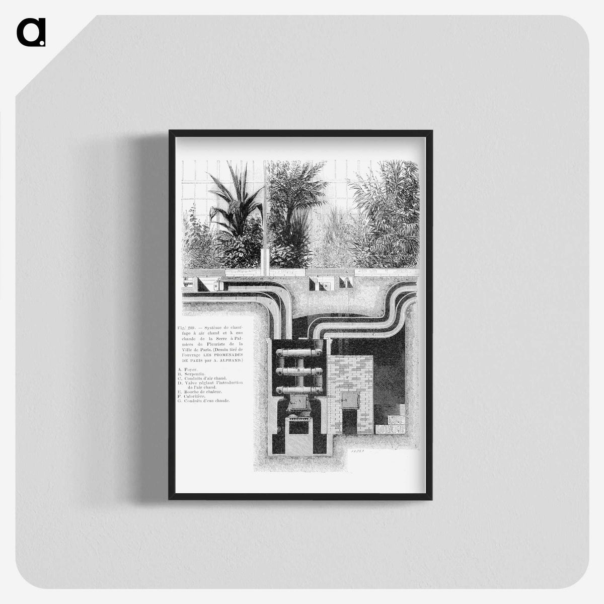 1-64_Les-Palmiers-Histoire-Iconographique_blk-crop