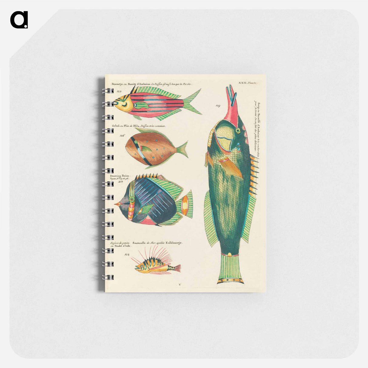 Moluccan Fishes
- ルイ ルナール Memo.