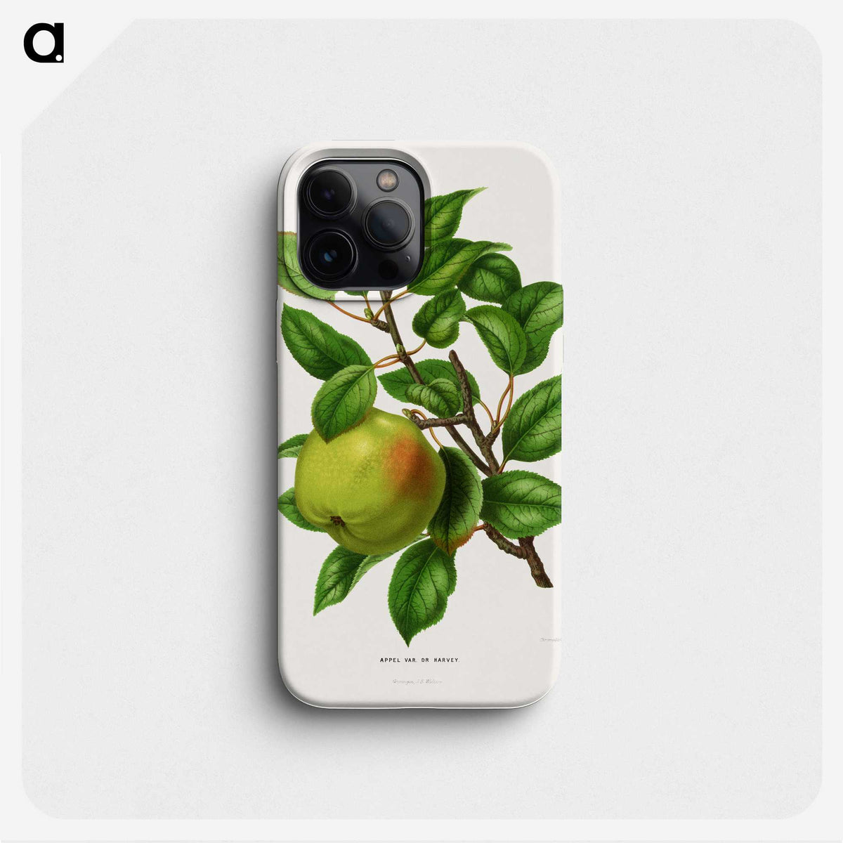 1-64_Nederlandsche-Flora-en-Pomona_phone