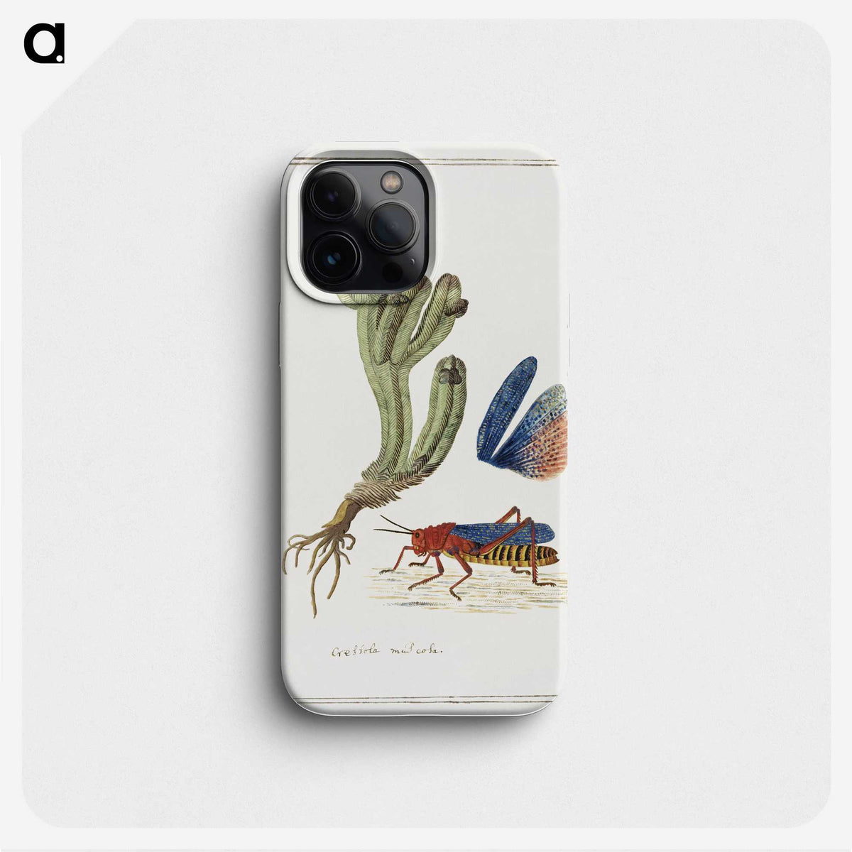 1-64_Robert-Jacob-Gordon_phone