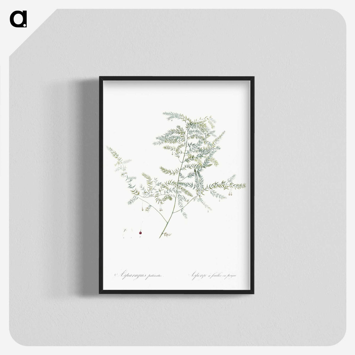 1-64_The-Lilies_blk-crop